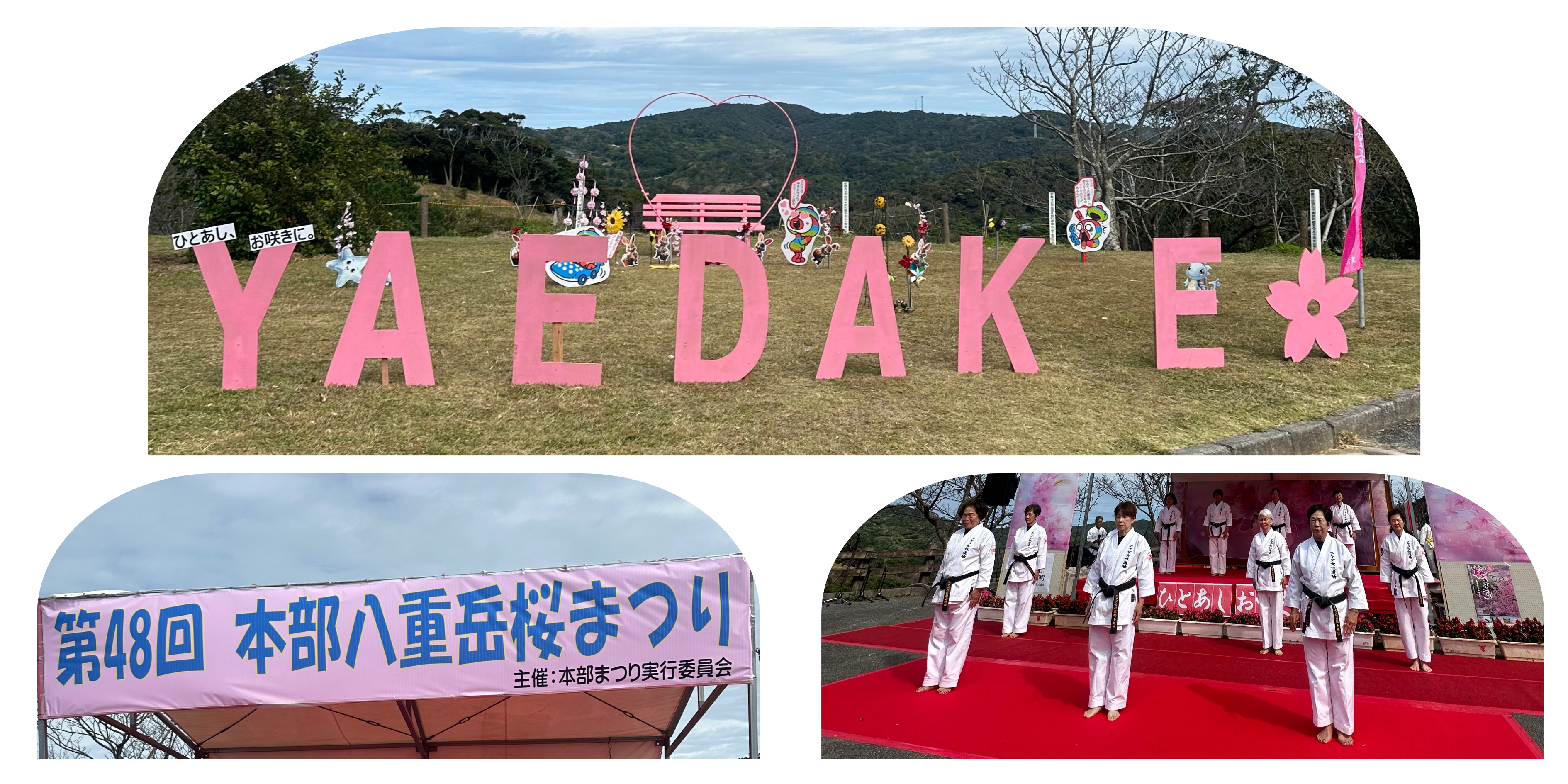 48th Annual Motobu Yaedake Sakura Festival 2026 – Okinawa Life