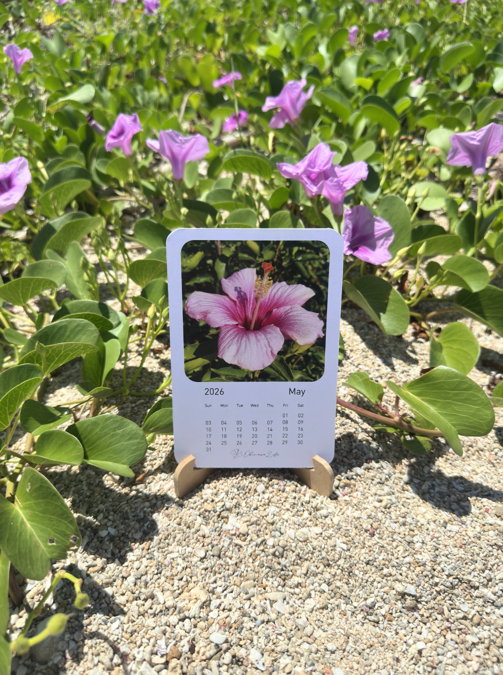 2026 Okinawa Life Original Calendar