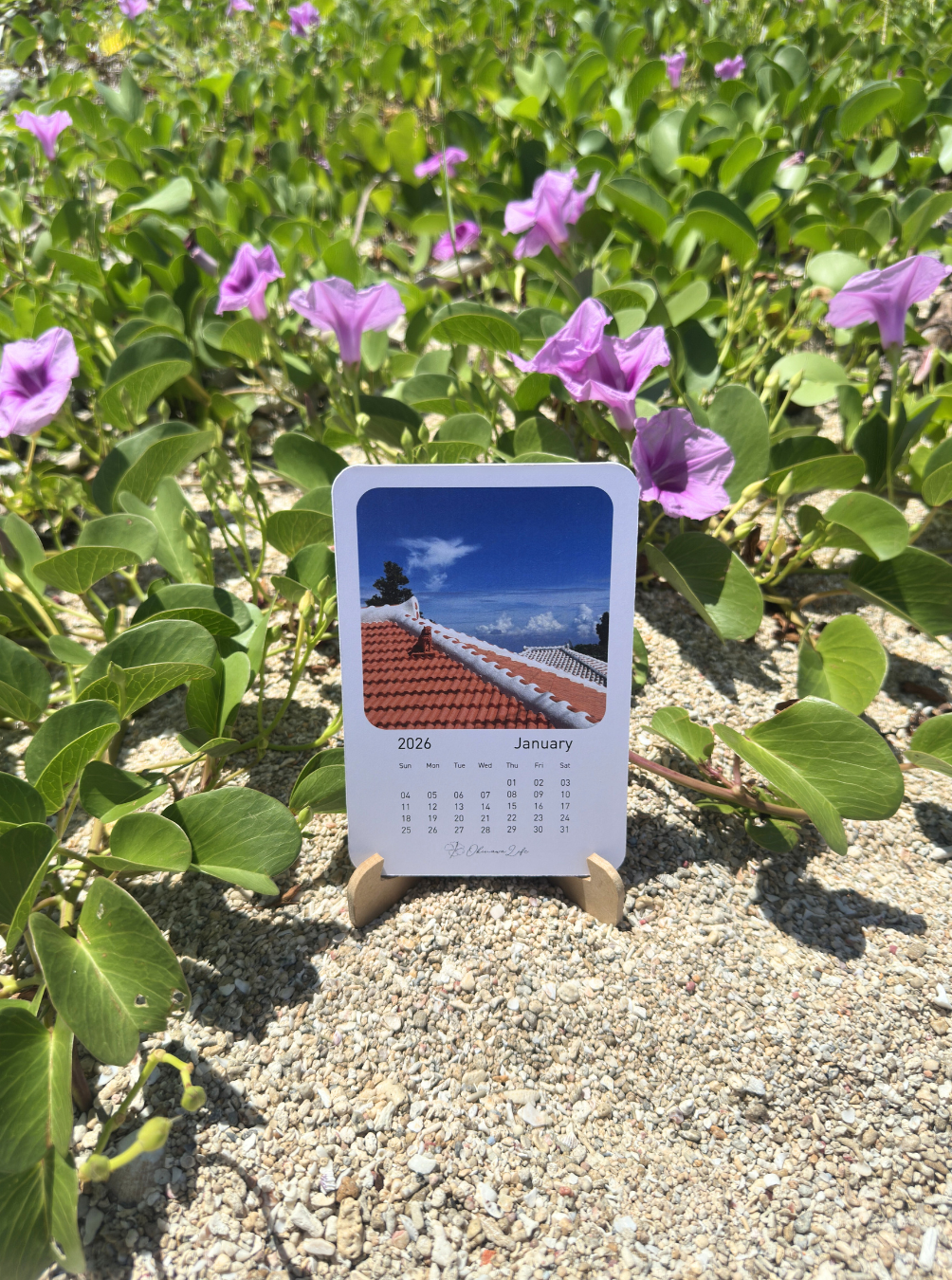 2026 Okinawa Life Original Calendar