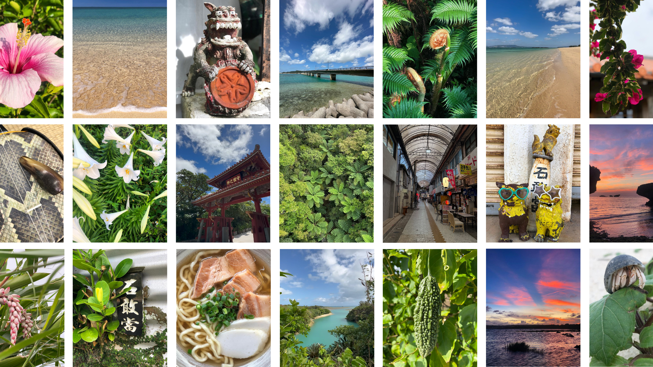 Collage of various Okinawan scenic and nature-themed images including landscapes, plants, and cultural elements.